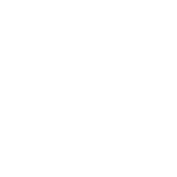 Usage reports icon