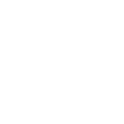 Money icon