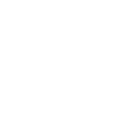 phone flip