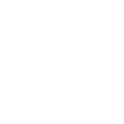 Flexible payment icon